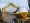 Dumper-nc-sw-6-naklad